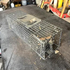 Small live cage