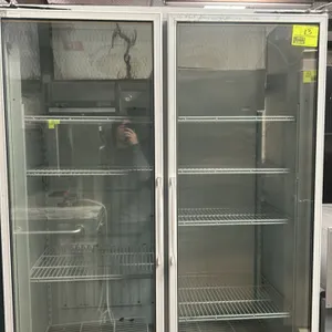 Master-Bilt BLG-48-HGP 2-door glass door reach-in freezer. Features self-contained refrigeration, double glass doors, and adjustable wire shelving. Re