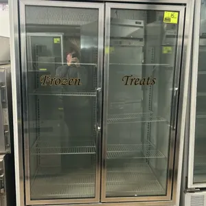 Hussmann HGL-2-BS two-door glass door display freezer. Features self-contained refrigeration, adjustable wire shelving, and "Frozen Treats" door decal