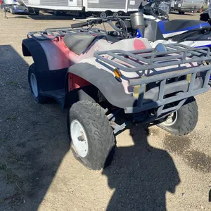 Bush Bear Quad (Non-Runner)
 UNRESERVED