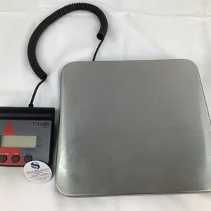 Taylor Digital Scale