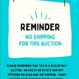SORRY, NO SHIPPING FOR THIS AUCTION