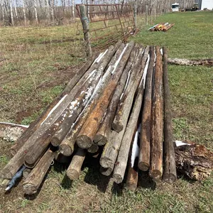 Rails 16 ft. 2.5� to 4�. Approximately 28