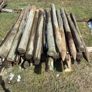 46 Fence Posts. Treated, Sharpened, 7ft, 5"