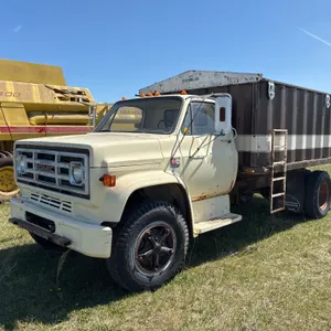 1981 GMC 6000 Grain Truck, VIN 1GDG6D1B7BV583365