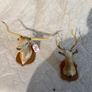 TEXAS LONGHORN HEAD-DEER HEAD