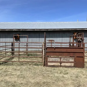 10 Ft. X 10 Ft. Maternity Pen w/ 10 Ft. X 10 Ft. Catch Pen & Headgate