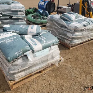 (2) Pallet's of Mustard Seed
 UNRESERVED