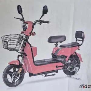 2026 High End Electric Scooter
 UNRESERVED