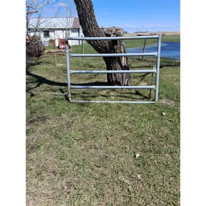 Steel Pipe Gate,  5.5ftx4ft