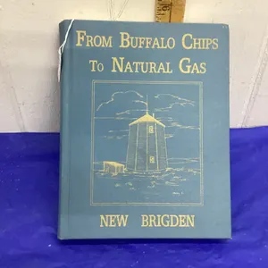 NEW BRIGDEN HISTORY BOOK - FROM BUFFALO CHIPS TO NATURAL GAS