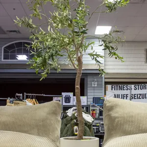 CG HUNTER LIFELIKE OLIVE TREE - 6.5FT / 203.2 CM