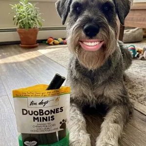 24 DuoBones Minis Mint Dog Chews