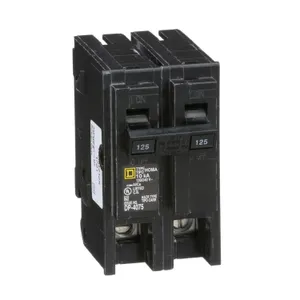 Schneider 125A 2-Pole Circuit Breaker