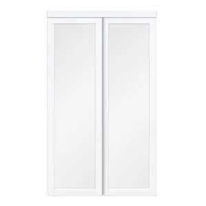 RENIN 60x80 White Sliding Closet Door