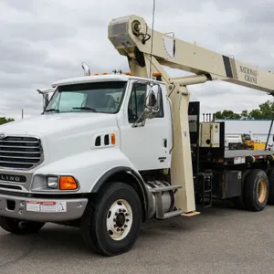 2007  Sterling  L9500  6X4  T/A Crane Truck
