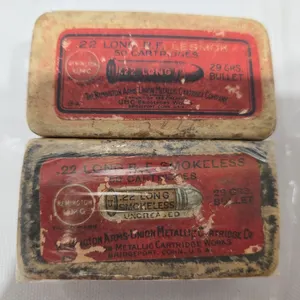 Remington 22 Long Cartridges (2)