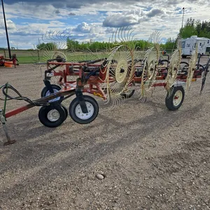 Hesston 12 Wheel Hay Rake