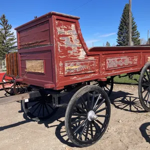 Draft Horse Show Wagon