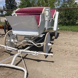 White 2 Horse Carriage