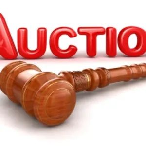 LIVE ON-SITE AUCTION INFO