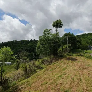 Lot 4 building lot