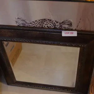Mirror and Tiger Picture