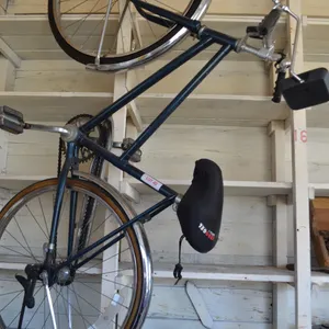 Ladies Bike, always stored in shed