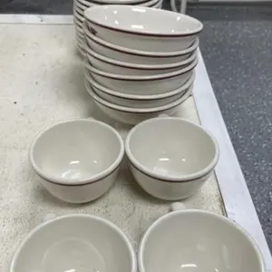 27 pcs Medical Buffalo China