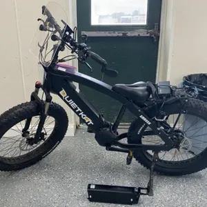 2018 Quiet Kat Ambush 750 E-Bike