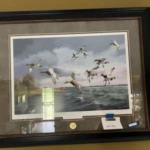 Ducks Unlimited-Mission Accomplished Picture