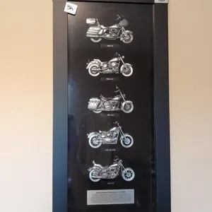 Harley Davidson Shadow box motorcycles of the