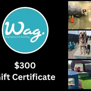 (1) $300 Gift Certificate from Wag Dog Daycare and Boarding Centre
 UNRESERVED