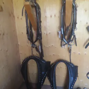 2 Sets of Hames, Back Bands, Martingale, Trace and 2 Pulling Collars, 26", No Choke