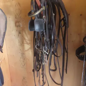Single Driving Harness with Bridle