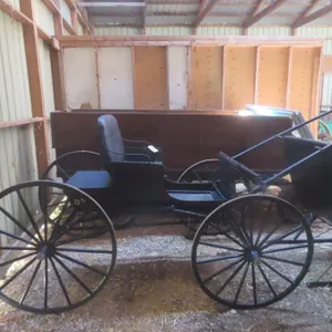 Doctor’s Single Seat Buggy, with Buggy Shaft and Team Pull — Always Stored Indoors