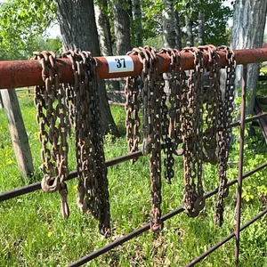 8 - ASSORTED CHAINS w/ HOOKS