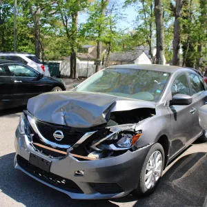 Town of Hempstead Impounds, Long Island-NY #47204