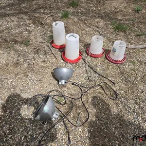 Chicken Feeders & Heat Lamps
 UNRESERVED