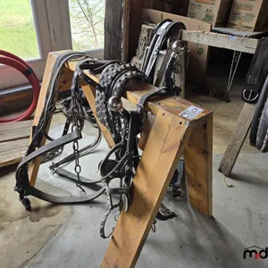 Bezel Horse Harness
 UNRESERVED