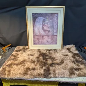 Soft Shaggy Area Rug With Foamy Backing and Egyptian Framed Art