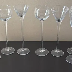 11 Hand-Painted Glass Stemware with Intricate Floral Designs
