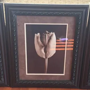 Three Framed Floral Photographic Prints with Ornate Black Frames