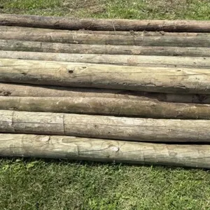 30 - 8' Fence Posts
