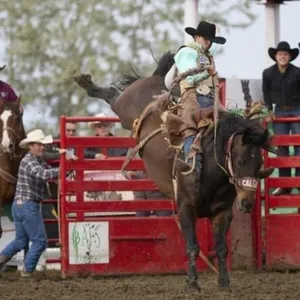2026 Bucking Chute Inside Gate Sponsor Signage (2)