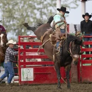 2026 Bucking Chute Inside Gate Sponsor Signage (2)