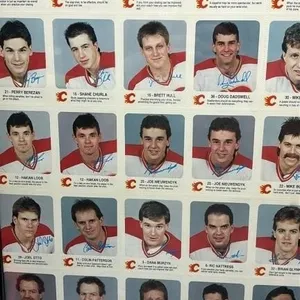 Uncut Sheet Calgary flames hockey card lot framed