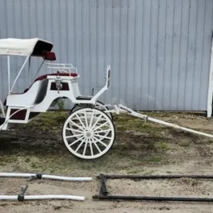 Vis-A-Vis Horse Drawn Carriage w/Folding Canopy