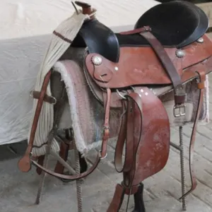 16" Riding Saddle w/Pad & Stand