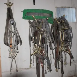 1972 Draft Harness w/Solid Brass Hardware